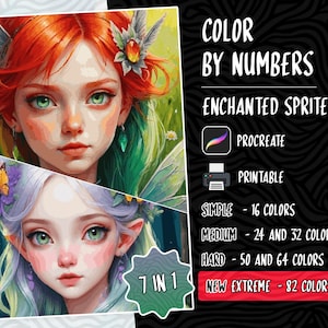 Fairy Color by Numbers, Digital Coloring Pages, Paint by Number, Procreate Coloring, Adults Coloring, Cute Fairy Coloring Pages Fantasy