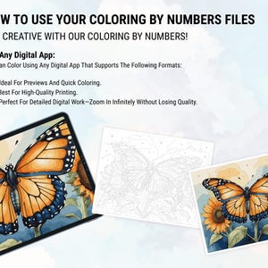 Butterfly Coloring Color by Numbers Digital Coloring Paint by Numbers Procreate Coloring Book iPad Coloring Page Floral Butterfly Coloring