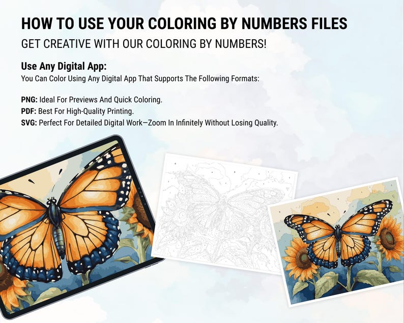 Butterfly Coloring Color by Numbers Digital Coloring Paint by Numbers Procreate Coloring Book iPad Coloring Page Floral Butterfly Coloring
