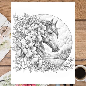 May include: A black and white pencil drawing of a horse's head with flowers around it. The horse is looking to the right and the background is a landscape with trees and a path.