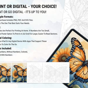 Butterfly Coloring Color by Numbers Digital Coloring Paint by Numbers Procreate Coloring Book iPad Coloring Page Floral Butterfly Coloring