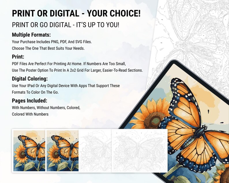 Butterfly Coloring Color by Numbers Digital Coloring Paint by Numbers Procreate Coloring Book iPad Coloring Page Floral Butterfly Coloring