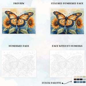 Butterfly Coloring Color by Numbers Digital Coloring Paint by Numbers Procreate Coloring Book iPad Coloring Page Floral Butterfly Coloring