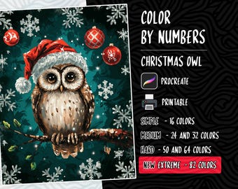 May include: Color by numbers Christmas owl digital painting. The owl is wearing a red Santa hat and is surrounded by snowflakes and Christmas ornaments.