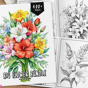 400+ Blumen Malbuch, Malvorlagen, Malvorlagen, Malvorlagen, Malvorlagen für Erwachsene und Kinder