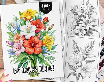 400+ Flowers Coloring Book, Coloring Bundle, Coloring Sheets, Botanical Flowers Coloring, Grayscale Coloring Pages for Adults and Kids