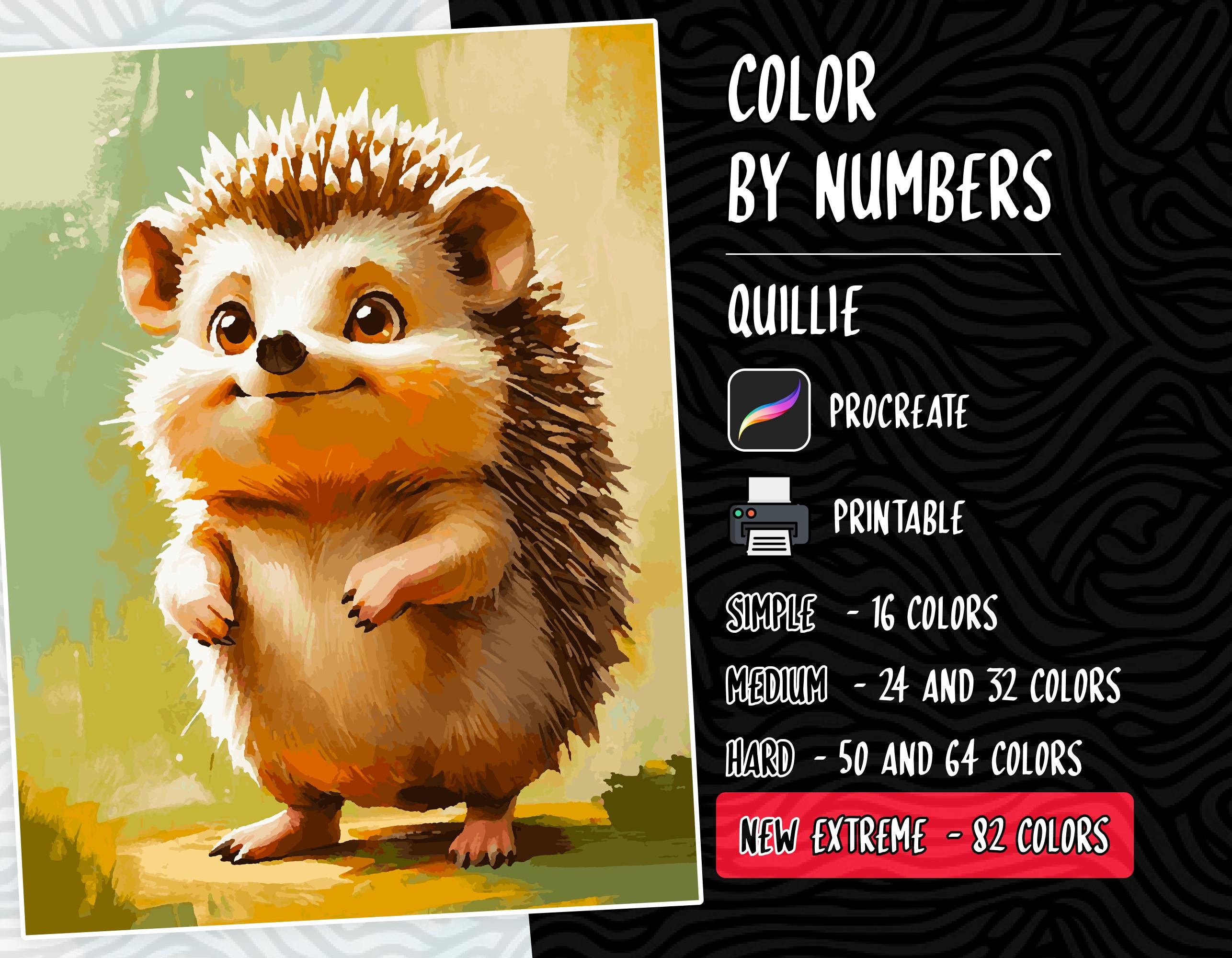 Colorear por números Páginas de colorear digitales para adultos y niños | PDF, PNG, SVG imprimibles | Procreate Paint by Numbers