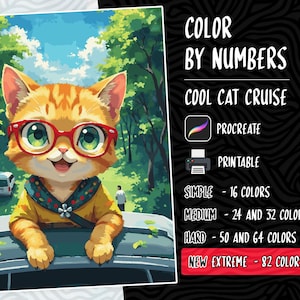 Color by Numbers, Digital Coloring Pages, Paint by Numbers, Procreate Coloring Book, Adults Coloring Book, Cool Cat Coloring by Numbers