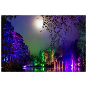 Premium Semi-Glossy Paper Poster - Verzauberter Wald.