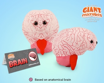 GIANTmicrobes Brain Plush, Brain Toy, Brain Gifts For Neurologist, Brain Surgery Recovery Gifts, Neurology Gifts, Brain Decor