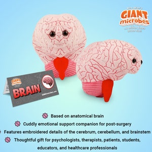 GIANTmicrobes Gehirn Plüsch, Gehirnspielzeug, Gehirngeschenke für Neurologe, Geschenke zur Wiederaufnahme der Gehirnchirurgie, Neurologie Geschenke, Gehirndekor