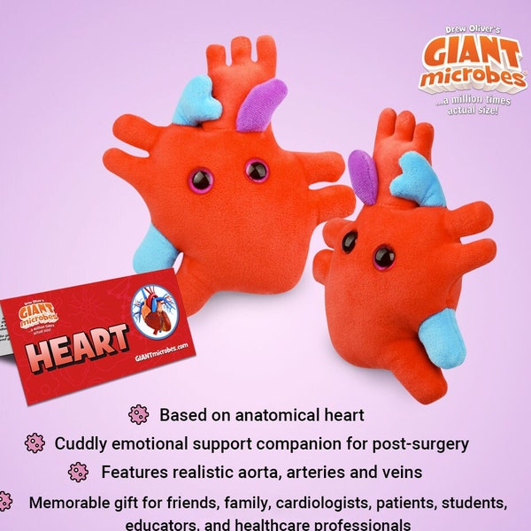 GIANTmicrobes Heart Plush, Heart Stuffed Animal, Heart Transplant Gifts, Heart Toy, Cardiology Gifts, Heart Attack Survivor Gifts