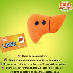 May include: An orange plush liver toy with blue eyes and a vertical seam. A card beside it reads "LIVER" and "GIANTmicrobes.com". The product is based on an anatomical liver and is a cuddly emotional support companion.