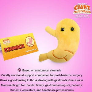 Op de afbeelding: Geel pluche maag speelgoed met een cartoon gezicht en een kaart met de tekst "GIANT microbes STOMACH".