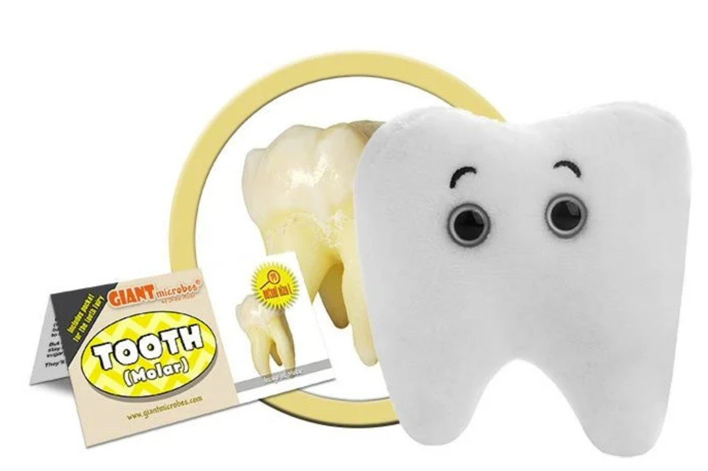 Giantmicrobes Tooth Plush With Tooth Fairy Pocket, Dentist Gift