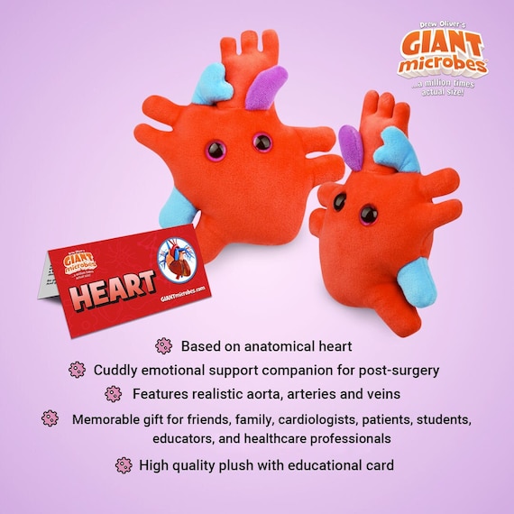 GIANTmicrobes ハートのぬいぐるみ、ハートのぬいぐるみ、心臓移植