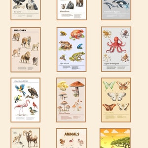 10+ Stück Galerie-Set, trendige Klassenzimmerdrucke, Tiere-Dekor, Retro-Poster-Set, Tiere-Poster-Bundle, Größe Max 16 "x 24", Digitaldruck