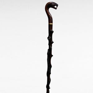 May include: A dark brown walking stick featuring a snake head handle. The stick has a textured, branch-like design along its length, with a gold-coloured band near the top. The snake's head is detailed with carved features.