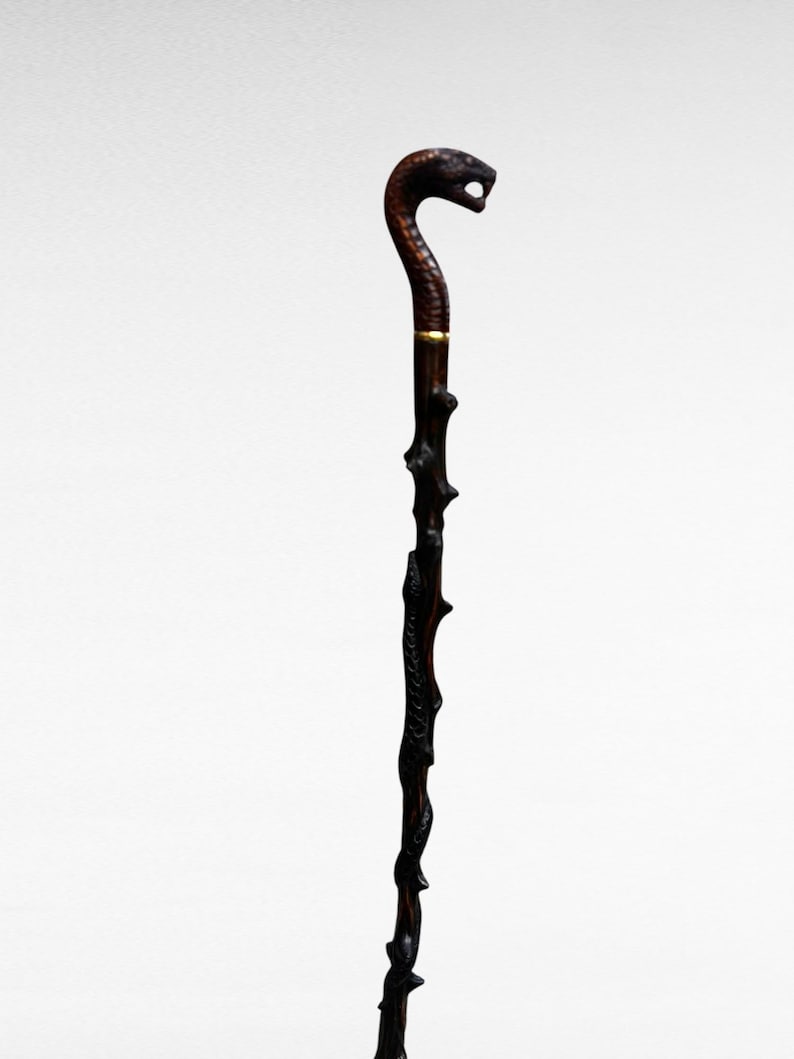 May include: A dark brown walking stick featuring a snake head handle. The stick has a textured, branch-like design along its length, with a gold-coloured band near the top. The snake's head is detailed with carved features.