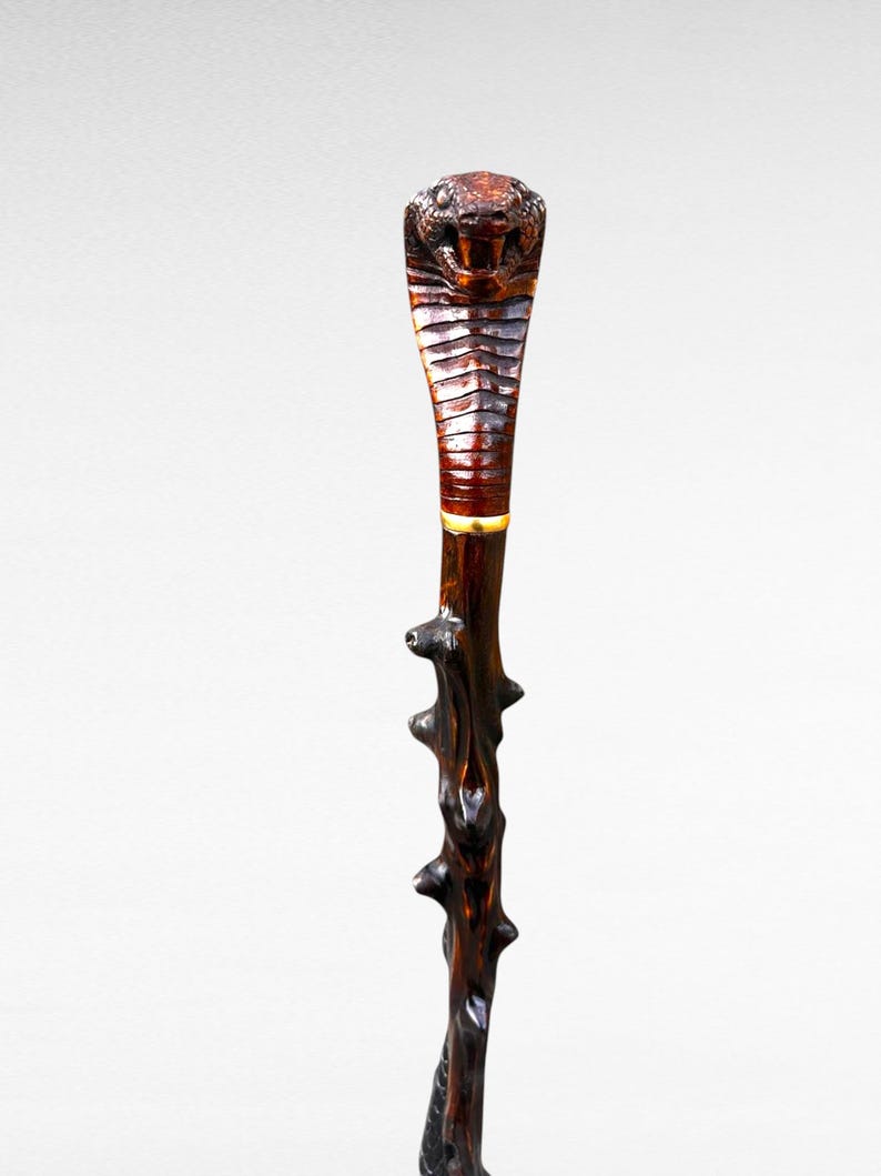 May include: A carved wooden walking stick featuring a cobra head. The head is detailed with scales and a fierce expression. The dark brown shaft has a textured, branch-like appearance, adding to its unique design.
