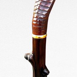 May include: A handcrafted walking cane featuring a cobra head handle. The handle is intricately carved from dark brown wood, with a detailed cobra head and a textured body. A gold-coloured band accents the shaft.