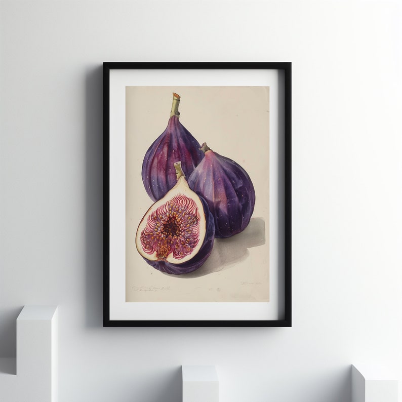Still life with fig digital print, fruits to print, illustrations with fruits, kitchen decor, Wall Art, Home Decor, Printable Wall Art image 3