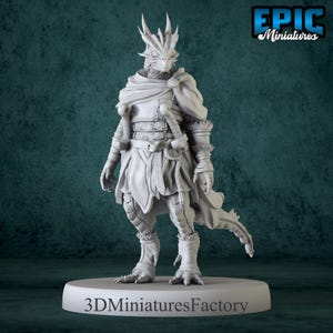 Half-Dragon Adventurer - DnD Miniature for Tabletop Games - Premium dnd Miniature - Dungeons and Dragons - 3D Printed