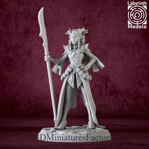 Miniature | Elf Female Princess in Armor - Role Playing Miniatures - DnD Miniature for Tabletop Games - Premium dnd Miniature
