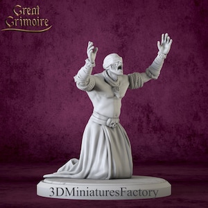 Miniature | Clairlune - DnD Miniature for Tabletop Games - Premium dnd Miniature - Dungeons and Dragons - 3D Printed