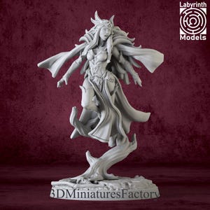 Miniature | Banshee 2 - Role Playing Miniatures - DnD Miniature for Tabletop Games - Premium dnd Miniature