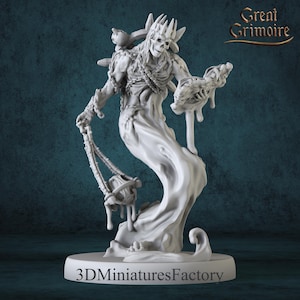 Miniature | Vorthakar Keeper of the Accursed Tome - DnD Miniature for Tabletop Games - Premium dnd Miniature - Dungeons and Dragons