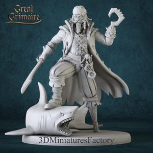 Miniature | Pirate Edward and shark  - DnD Miniature for Tabletop Games - Premium dnd Miniature - Dungeons and Dragons - 3D Printed