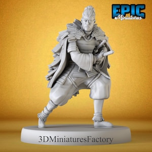 Miniatur | Legendäre Ronin Hide - Spieler D&D Miniatur für Tabletop Spiele - Premium D&D Miniatur - Dungeons and Dragons