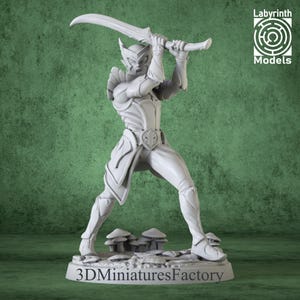 Elf Miniature Warrior - DnD Miniature for Tabletop Games - Premium dnd Miniature Dungeons and Dragons 3D Printed