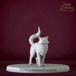 Miniature | Сat Phlox - DnD Miniature for Tabletop Games - Premium dnd Miniature - Dungeons and Dragons - 3D Printed