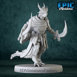 Dragonborn Adventurer Swords Miniature - DnD Miniature for Tabletop Games - Premium dnd Miniature - Dungeons and Dragons - 3D Printed