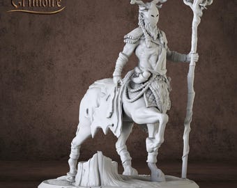 Centaur Miniature Dungeons and Dragons -DnD Miniature for Tabletop Games - Premium dnd Miniature - Great Gift Idea DnD