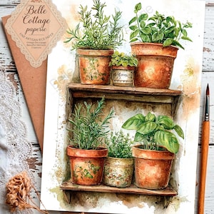 May include: Watercolor illustration of potted herbs on a wooden shelf. The image features rosemary, basil, and other plants in terracotta pots. The artwork has a vintage aesthetic, with the text "Belle Cottage paperie" on the left.