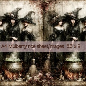 May include: A mulberry rice sheet featuring two identical side-by-side images of three witches in black gowns and hats standing around a steaming cauldron. The text A4 Mulberry rice sheet/images 5.6 x 8 is printed across the center of the image.