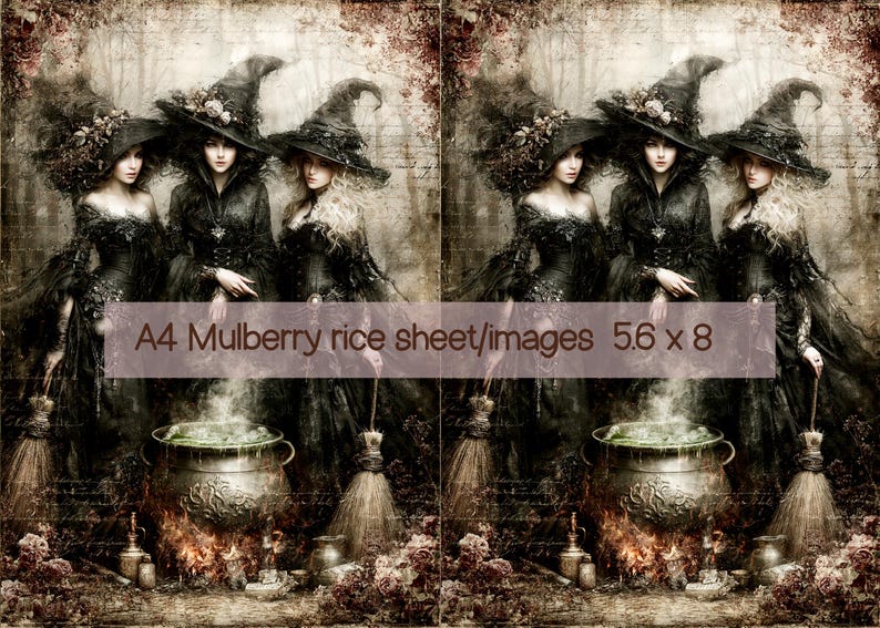 May include: A mulberry rice sheet featuring two identical side-by-side images of three witches in black gowns and hats standing around a steaming cauldron. The text A4 Mulberry rice sheet/images 5.6 x 8 is printed across the center of the image.