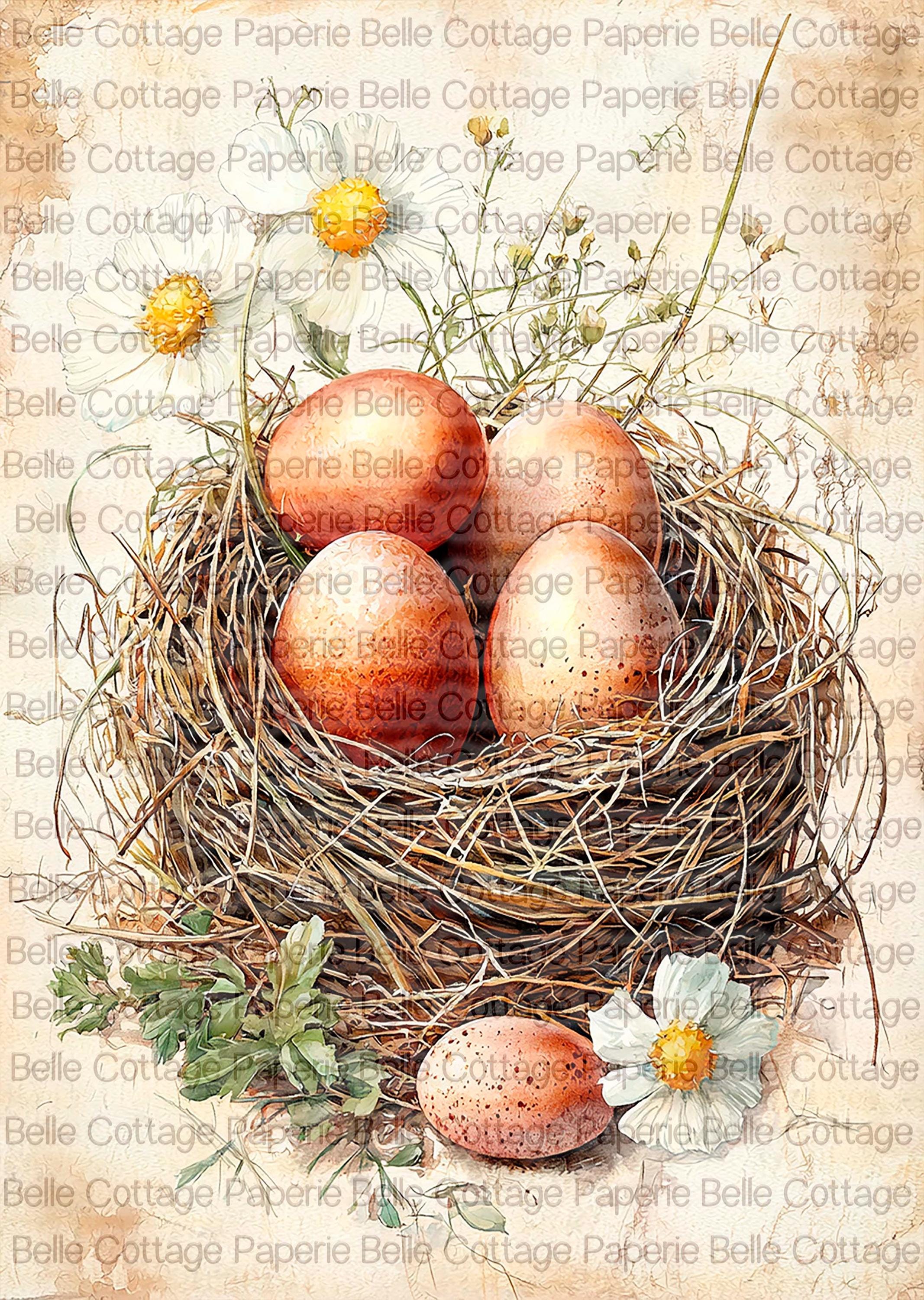 Rustic Bird Nest Decoupage Paper, Vintage Eggs and Flowers Rice Paper ...