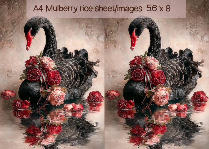 Pink Swan Rice Paper Elegant Black Swan & Red Roses Rice Paper A4 – Gothic Romance Mulberry ...