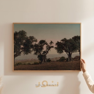 Palestinian Olive Tree Poster, Giclée Fine Art Print, Vintage Landscape Photography , Palestine Prints, Islamic Wall Art, Arabic Decor
