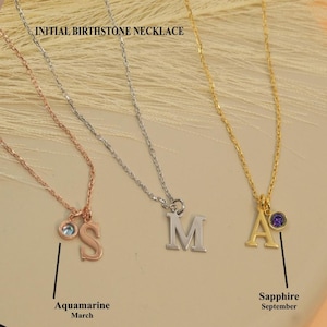 Initial and Birthstone Necklace, Custom Silver Christmas Gift, Birthday Gift for Mother, Garnet, Ruby, Blue Topaz, Aquamarine, Citrine