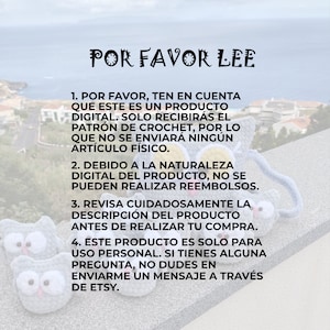 May include: A digital crochet pattern for a cute gray owl. The image includes text in Spanish that reads "POR FAVOR LEE" and lists instructions for purchasing the pattern.