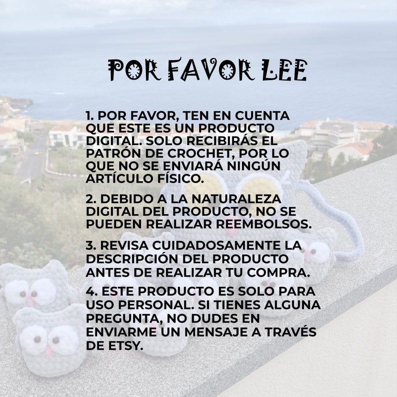 May include: A digital crochet pattern for a cute gray owl. The image includes text in Spanish that reads "POR FAVOR LEE" and lists instructions for purchasing the pattern.