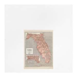 Florida Tea Towel - Florida Kitchen Towel - Florida Dish Towel - Florida Housewarming - Florida Airbnb Decor - Florida Realtor Gift