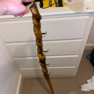 Walking Stick