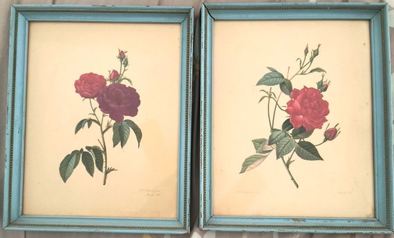 P. J. Redouté Framed Floral Prints (2) Morris Bendien Litho