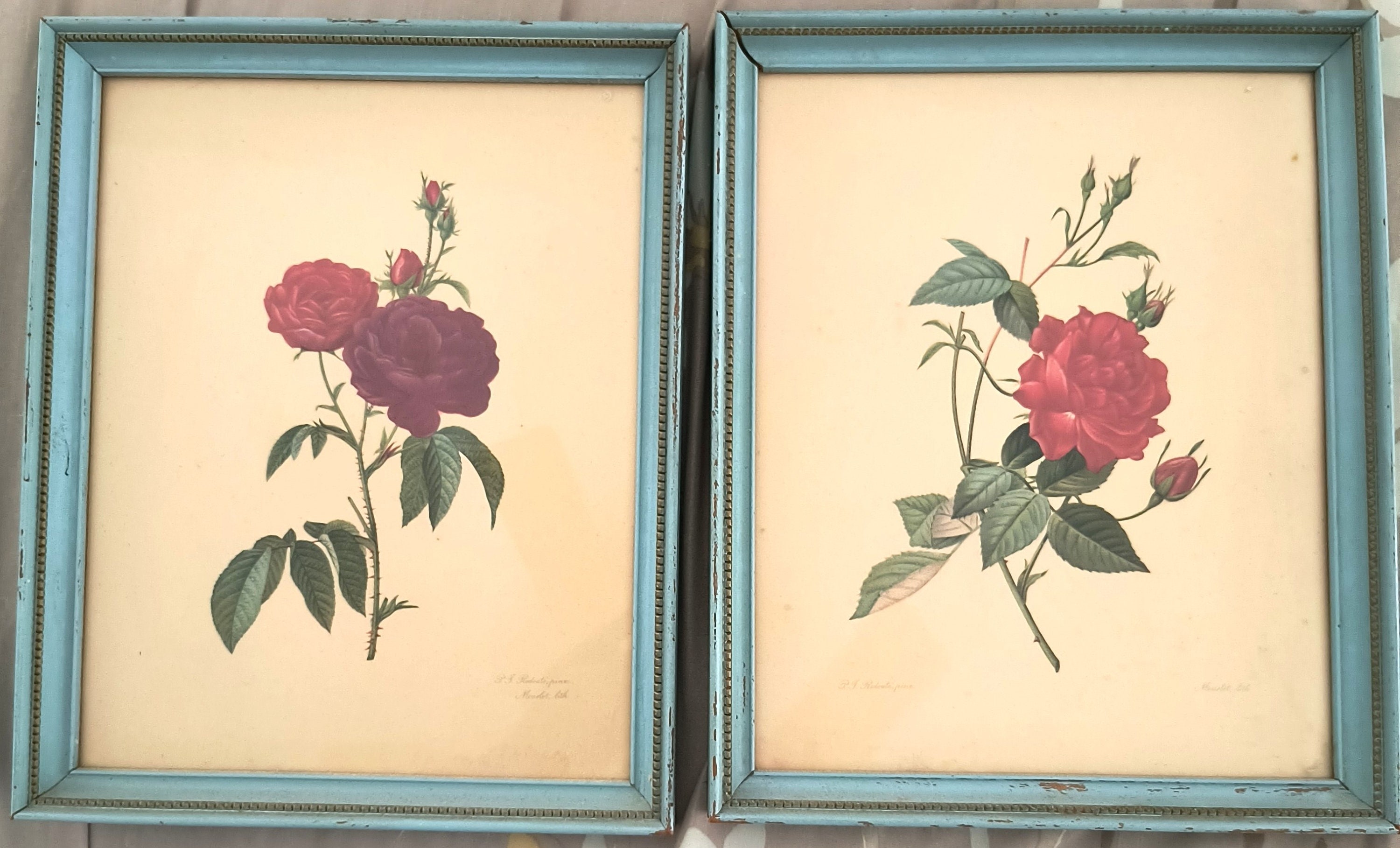絵画 The Best of Redoute 's ROSES 1960 Redouté. Roses. TASCHEN Books